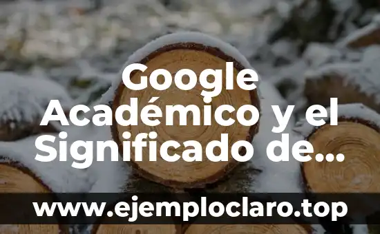 Google Académico y el Significado de los Pelos