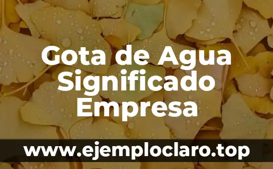 Gota de Agua Significado Empresa
