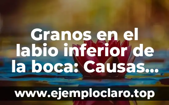 Granos en el labio inferior de la boca: Causas, Síntomas y Tratamientos