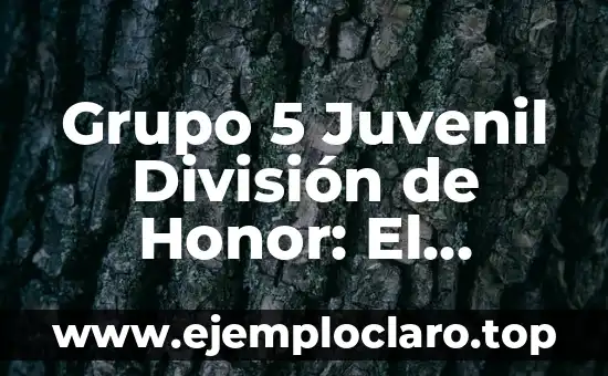 Clasificación de Segunda División de la Liga Española - Todo lo que Necesitas Saber 7 Grupo 5 Juvenil División de Honor: El Camino al Éxito para los Jóvenes Futbolistas
