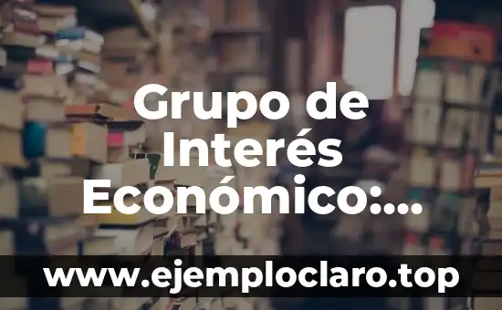 Grupo de Interés Económico: Una Fuerza Económica Estratégica