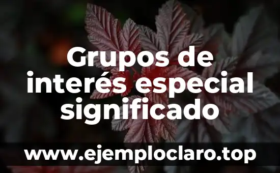 Grupos de interés especial significado