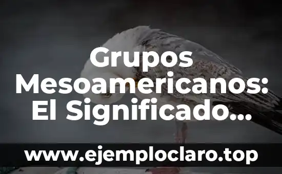 Grupos Mesoamericanos: El Significado de la Urbanización