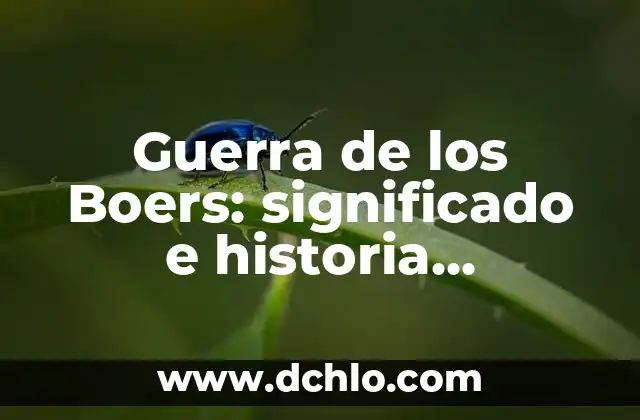 Guerra de Baja Intensidad Significado 5 Guerra de los Boers: significado e historia detallada