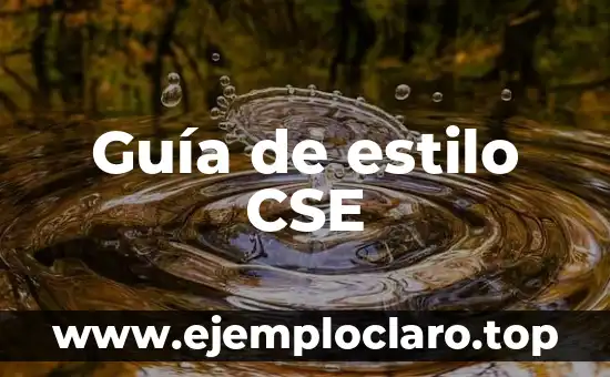 Infografías de Símbolos y Significados: Una Guía Visual 7 Guía de estilo CSE