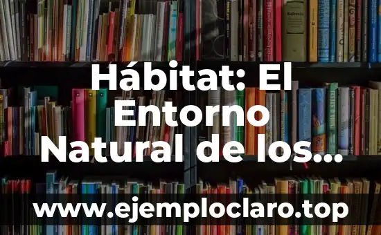 Hábitat: El Entorno Natural de los Seres Vivos