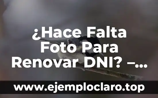 ¿Hace Falta Foto Para Renovar DNI? – Guía Completa