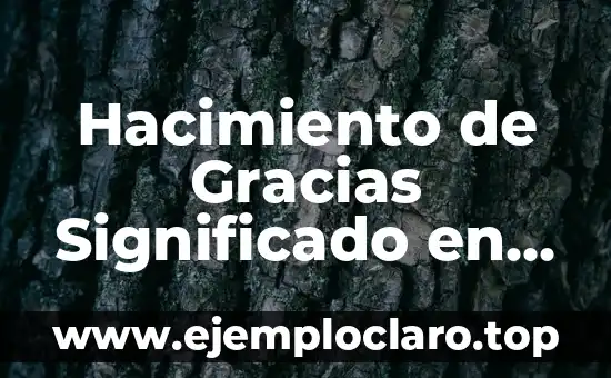 Significado del Valor de las Gracias 3 Hacimiento de Gracias Significado en Español