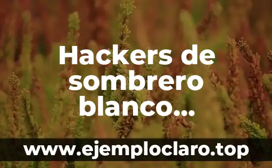 Hackers de sombrero blanco significado
