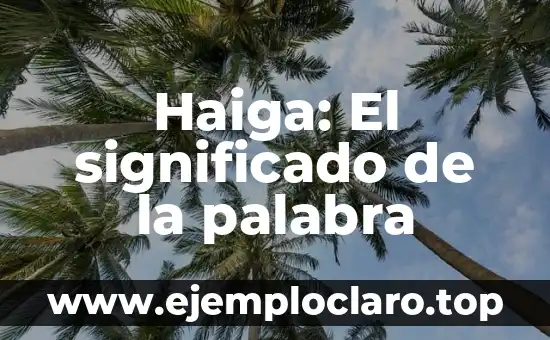 Haiga: El significado de la palabra