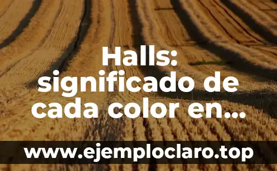 Halls: significado de cada color en los espacios de entrada