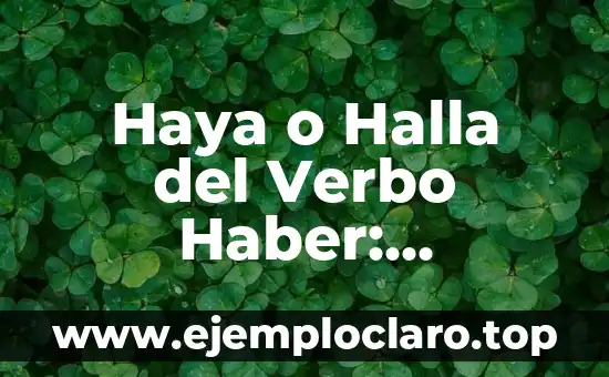 El significado de 'predilecta' en el diccionario: Guía completa sobre su definición y uso 8 Haya o Halla del Verbo Haber: Diferencias y Uso Correcto
