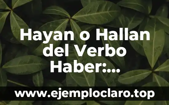 Hayan o Hallan del Verbo Haber: Diferencias y Uso Correcto