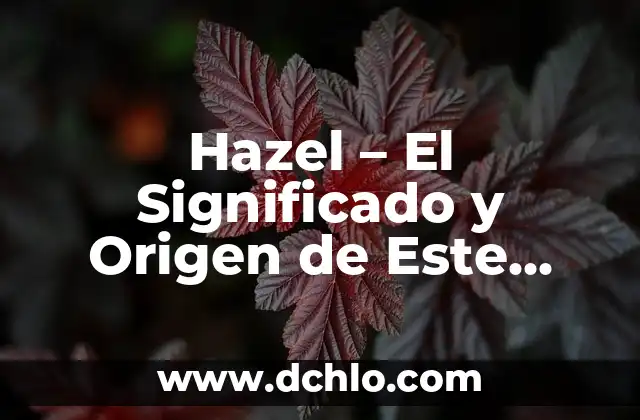 Descubriendo el Origen de la Lógica 8 Hazel – El Significado y Origen de Este Nombre