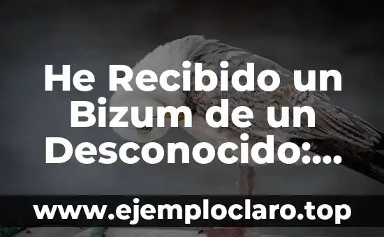 He Recibido un Bizum de un Desconocido: ¿Qué Hacer?