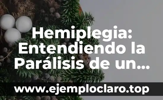 Hemiplegia: Entendiendo la Parálisis de un Lado del Cuerpo