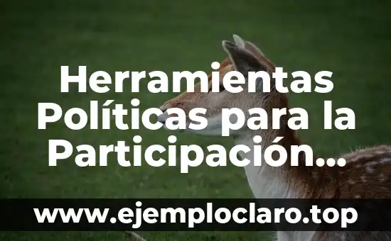 Herramientas Políticas para la Participación Ciudadana