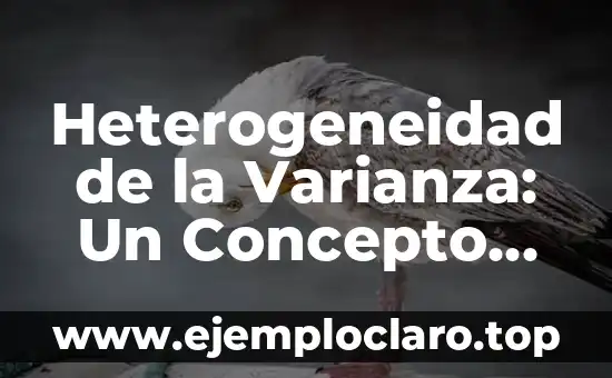 Heterogeneidad de la Varianza: Un Concepto Estadístico Fundamental