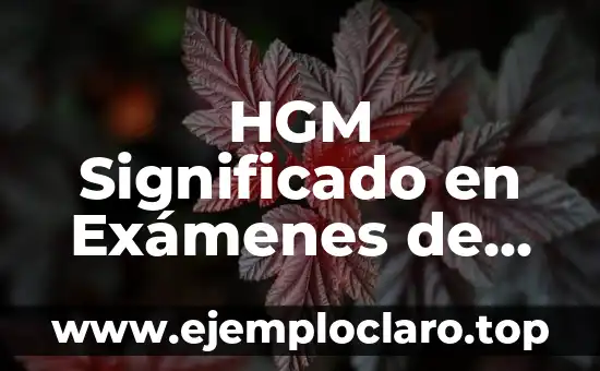 HGM Significado en Exámenes de Laboratorio