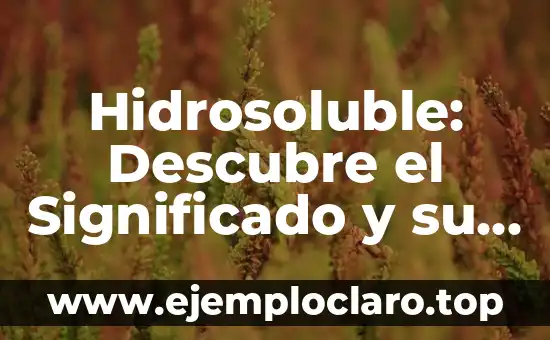Instrumentos Musicales: Descubre el Significado de Cada Uno 8 Hidrosoluble: Descubre el Significado y su Importancia