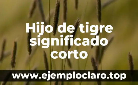 Hijo de tigre significado corto