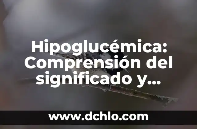 ¿Cuál es el significado de estratificar? 8 Hipoglucémica: Comprensión del significado y concepto