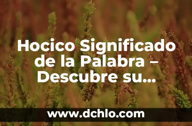 Descubriendo el Origen de la Lógica 5 Hocico Significado de la Palabra – Descubre su Origen y Usos