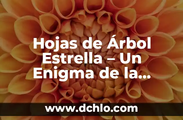 El Significado de Symbiosis en la Naturaleza 3 Hojas de Árbol Estrella – Un Enigma de la Naturaleza