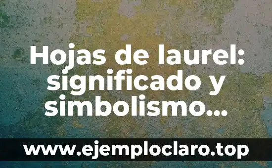 Hojas de laurel: significado y simbolismo detrás de sus hojas