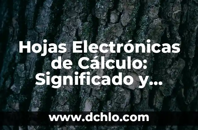 El Significado de Ser Hombre o Mujer: Un Análisis Profundo 6 Hojas Electrónicas de Cálculo: Significado y Funcionalidades