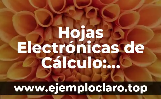 Hojas Electrónicas de Cálculo: Significado y Funcionalidades