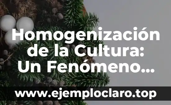 Homogenización de la Cultura: Un Fenómeno Global