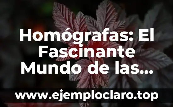 Homógrafas: El Fascinante Mundo de las Palabras con Múltiples Significados