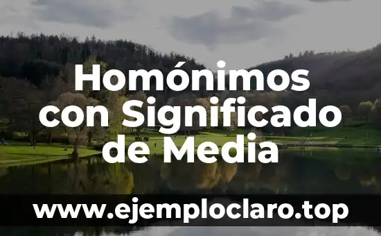 Homónimos con Significado de Media