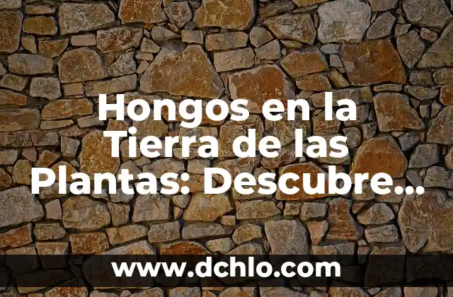 Significado Esotérico de la Tierra 5 Hongos en la Tierra de las Plantas: Descubre su Importancia