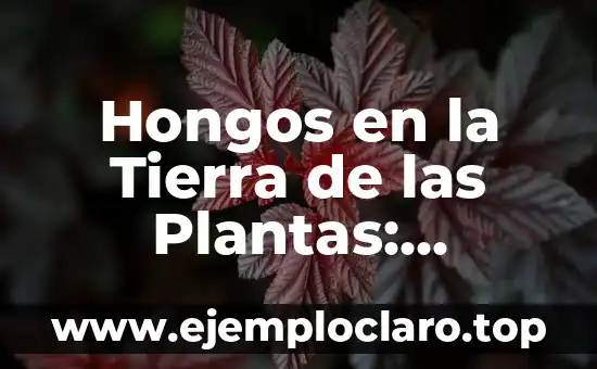 Hongos en la Tierra de las Plantas: Descubre su Importancia