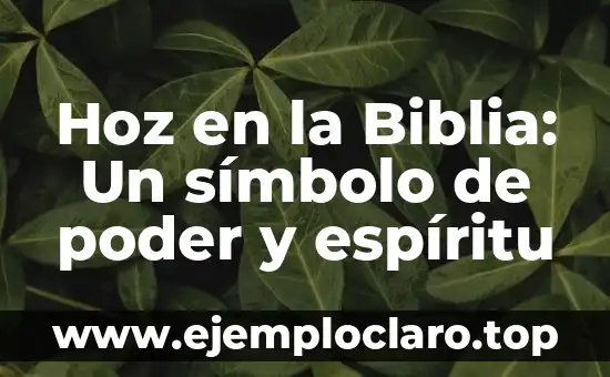 Hoz en la Biblia: Un símbolo de poder y espíritu