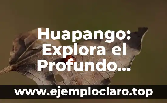 Huapango: Explora el Profundo Significado de esta Danza Tradicional