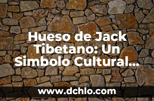 Idioma de Tokio y significado: Un viaje cultural 6 Hueso de Jack Tibetano: Un Simbolo Cultural Profundo