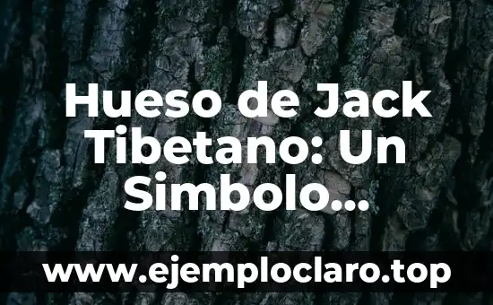 Hueso de Jack Tibetano: Un Simbolo Cultural Profundo
