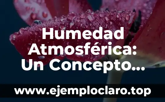 Humedad Atmosférica: Un Concepto Clave en Meteorología