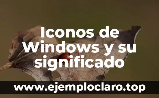 Iconos de Windows y su significado