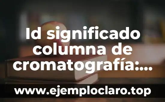 Id significado columna de cromatografía: Guía Completa