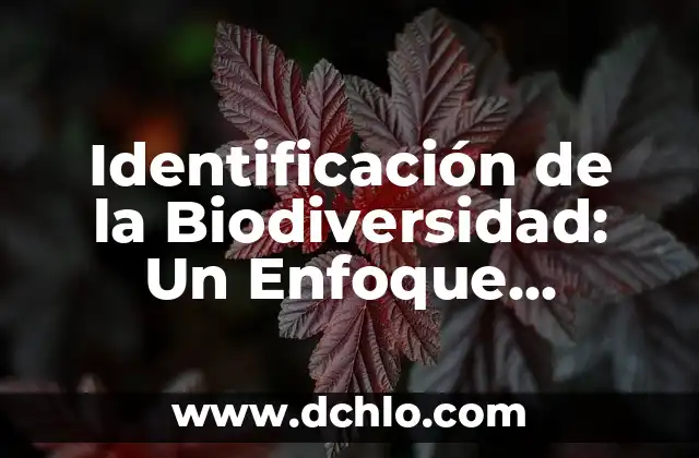 Imágenes del significado de equidad: Un enfoque visual de la justicia social 7 Identificación de la Biodiversidad: Un Enfoque Integral