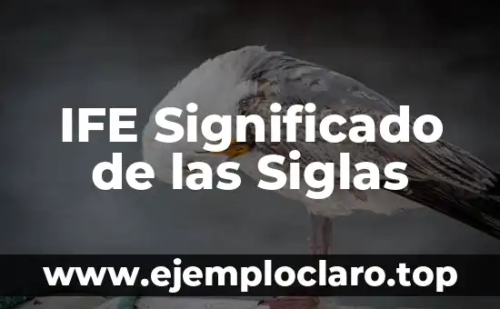 IFE Significado de las Siglas
