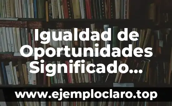 Igualdad de Oportunidades Significado Esquema