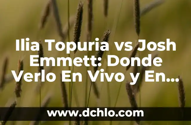 ¿Dónde ver la gala de los Oscar en vivo y en directo? 8 Ilia Topuria vs Josh Emmett: Donde Verlo En Vivo y En Directo