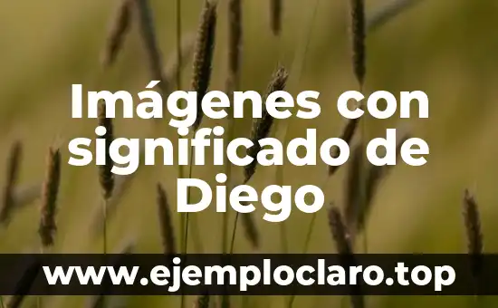 Imágenes con significado de Diego
