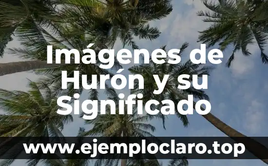 Imágenes de Hurón y su Significado