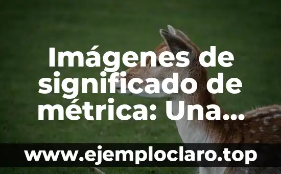 Significado de Subnacional - Comprensión Básica 5 Imágenes de significado de métrica: Una guía visual para la comprensión de datos
